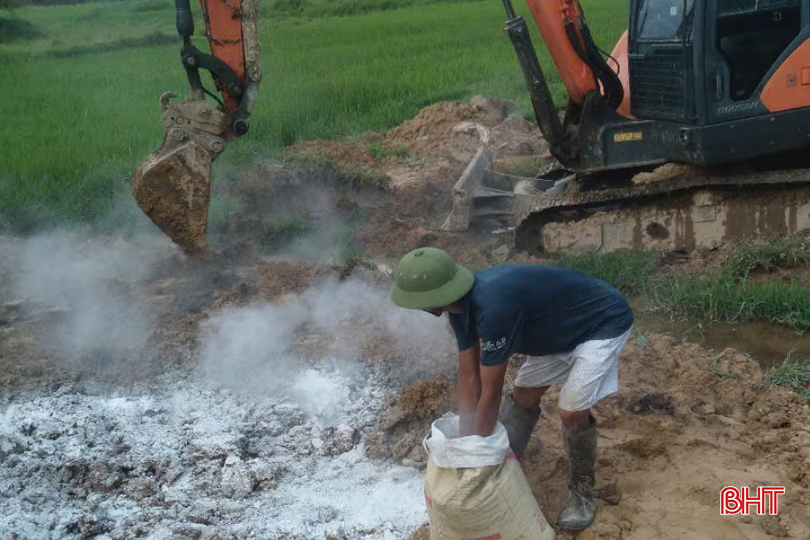 Tiêu hủy số lợn bị dịch tả lợn châu Phi tại xã Cẩm Bình. bqbht_br_3.png