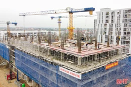 Tổng lực thi công Nhà ở xã hội giai đoạn II, phấn đấu “cất nóc” dịp 19/5