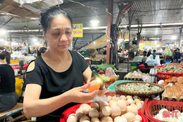 Người tiêu dùng Hà Tĩnh đừng quá hoang mang trước thông tin trứng gà giả