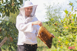 Nghị lực của ông Học