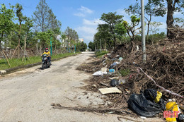 "Lá phổi xanh" ở đô thị trung tâm Hà Tĩnh bị tổn thương