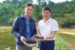 Thay đổi tư duy làm kinh tế từ các mô hình nuôi “vàng đen” ở xã miền núi Hà Tĩnh
