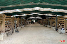 Trang trại xanh giữa miền biên giới Hà Tĩnh