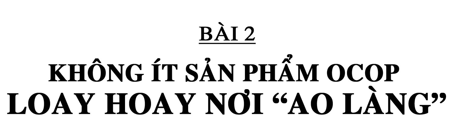 Chương trình OCOP - “đòn bẩy” phát triển kinh tế nông thôn (bài 2): Không ít sản phẩm OCOP loay hoay nơi “ao làng”