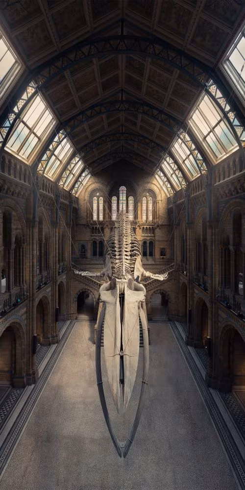 Cuốn hút những bức ảnh chiến thắng Giải thưởng Epson Pano Awards 2018