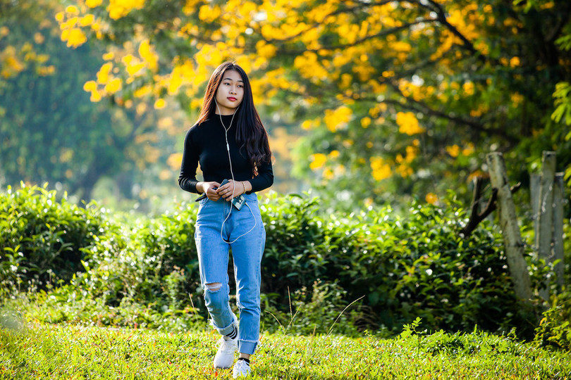 Thảm dã quỳ trên núi lửa Chư Đăng Ya hùng vĩ