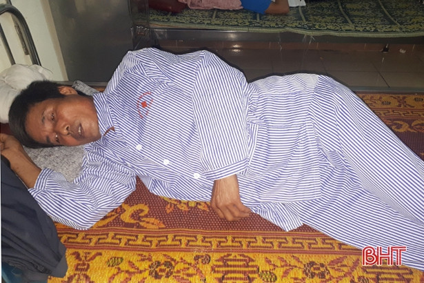 Hà Tĩnh mở đợt cao điểm xử lý tình trạng trâu bò thả rông trên quốc lộ ảnh 2 Hà Tĩnh mở đợt cao điểm xử lý tình trạng trâu bò thả rông trên quốc lộ