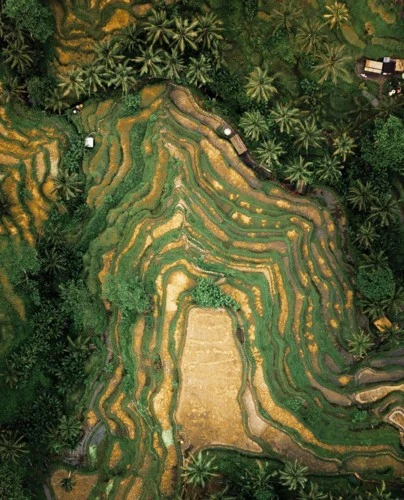 Ngỡ ngàng vẻ hoang sơ, tươi đẹp của các vùng đất châu Á từ trên cao