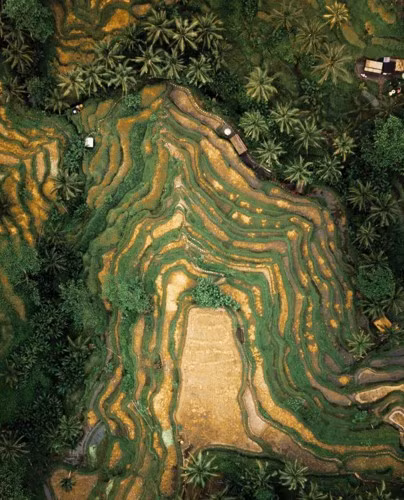 Ngỡ ngàng vẻ hoang sơ, tươi đẹp của các vùng đất châu Á từ trên cao