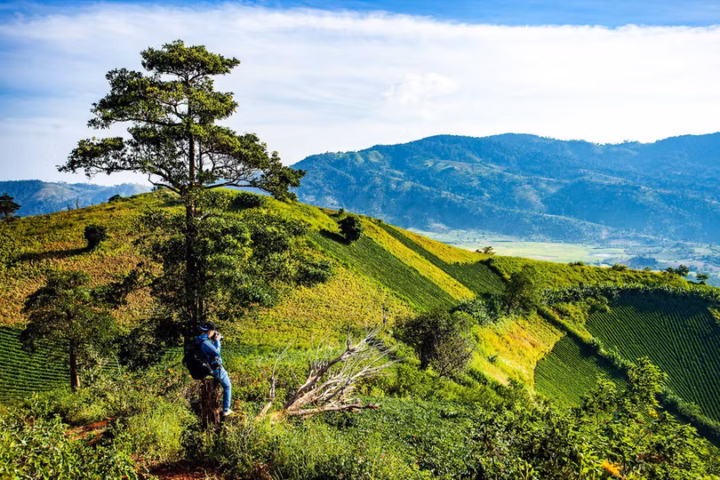 Thảm dã quỳ trên núi lửa Chư Đăng Ya hùng vĩ