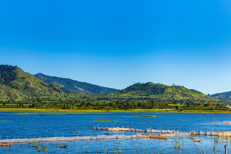 Thảm dã quỳ trên núi lửa Chư Đăng Ya hùng vĩ