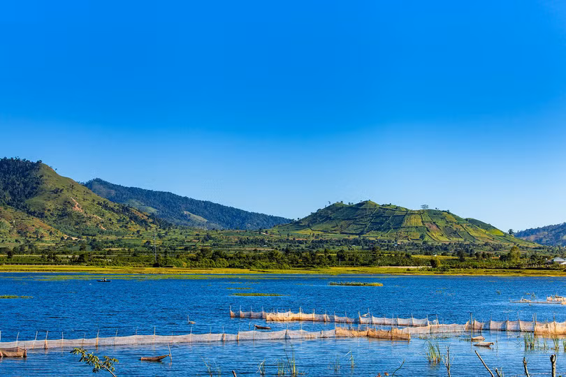 Thảm dã quỳ trên núi lửa Chư Đăng Ya hùng vĩ