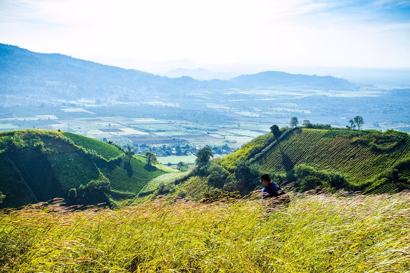 Thảm dã quỳ trên núi lửa Chư Đăng Ya hùng vĩ