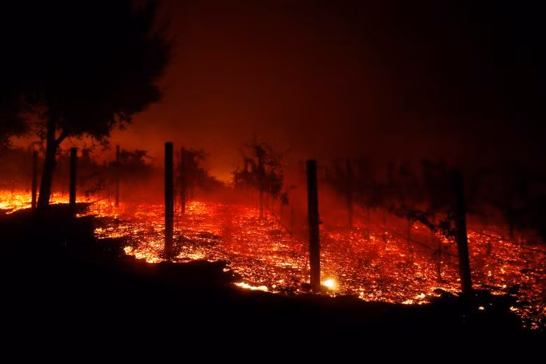 Những con số gây ám ảnh về vụ cháy rừng tồi tệ nhất lịch sử California