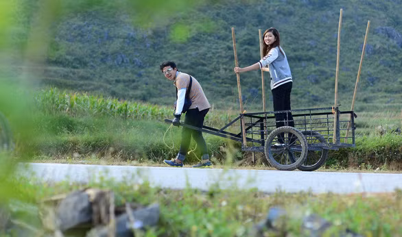 Con bắt đầu thương thương nhớ nhớ, làm gì đây?