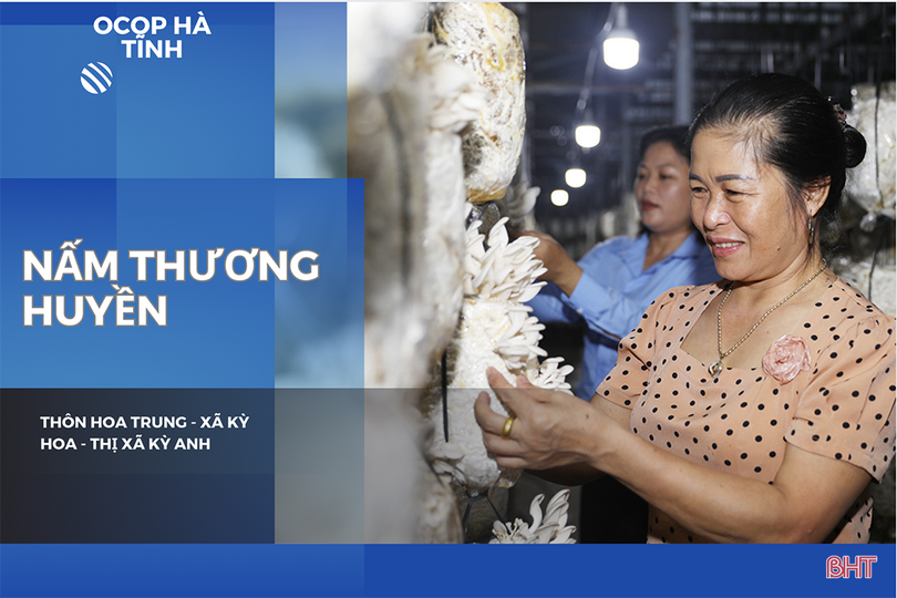Sản phẩm nấm bào ngư Thương Huyền được công nhận đạt 3 sao OCOP vào năm 2022. 146d5075659t41629l0.png