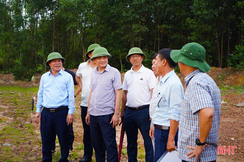 Lãnh đạo phường Sông Trí kiểm tra tiến độ GPMB các dự án trên địa bàn. bqbht_br_518271852-1144685744359626-962396341798735440-n.jpg