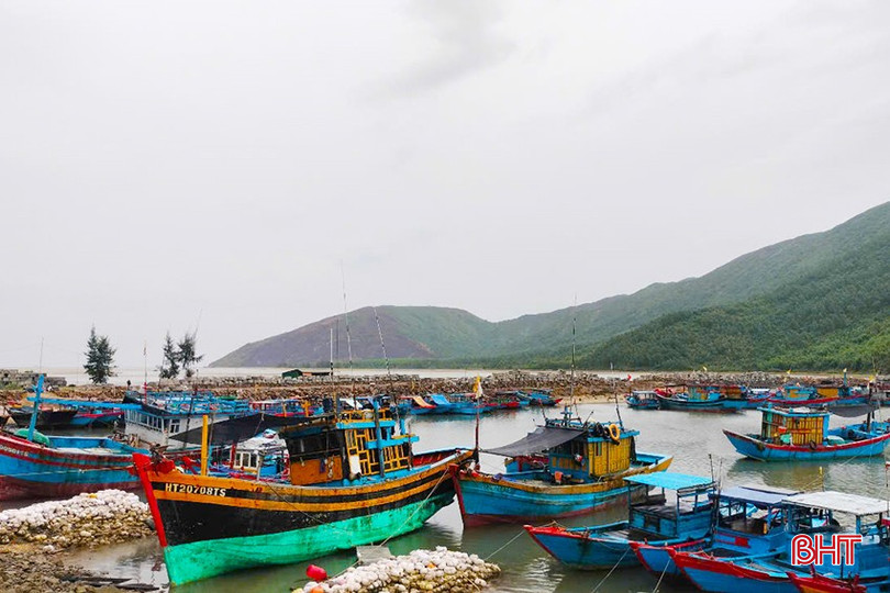1.290 tàu, thuyền của TX Kỳ Anh đã vào nơi tránh trú bão an toàn. tàu 2.jpg