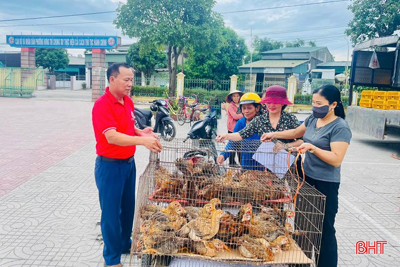 TX Kỳ Anh đã trao 28 mô hình sinh kế, giúp 600 hộ có điều kiện thoát nghèo. giảm nghèo 2.jpg