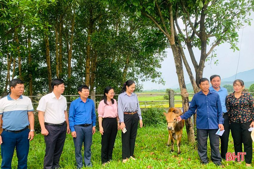 Đại diện chính quyền địa phương trao hỗ trợ bò giống cho gia đình bà Nguyễn Thị Ả, thôn Hoa Tiến, Kỳ Hoa. giảm nghèo 1.jpg