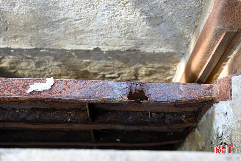 ag7a3736-407-4073.jpg