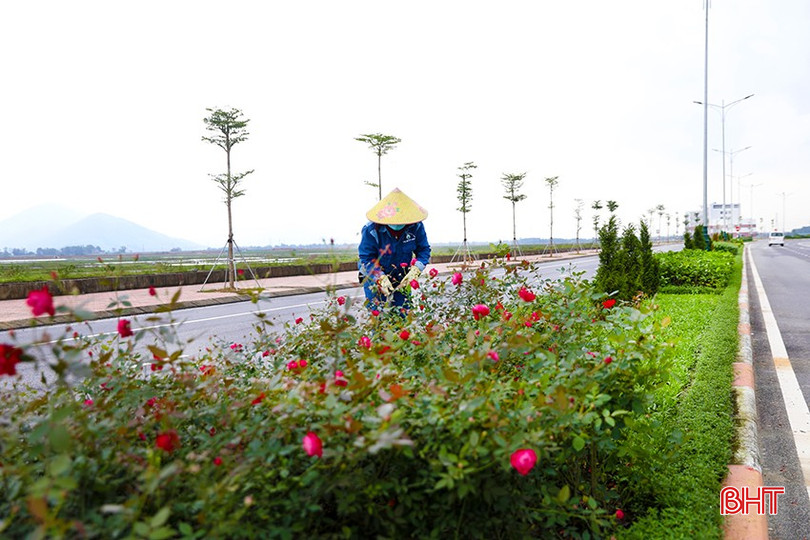Công nhân Trung tâm Dịch vụ hạ tầng và môi trường đô thị thị xã chăm sóc cây xanh trên đường Nguyễn Thị Bích Châu. bqbht_br_cay-4.jpg