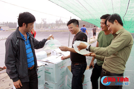 htx nuoi trong thuy san xuan thanh tha gan 7 trieu con tom giong