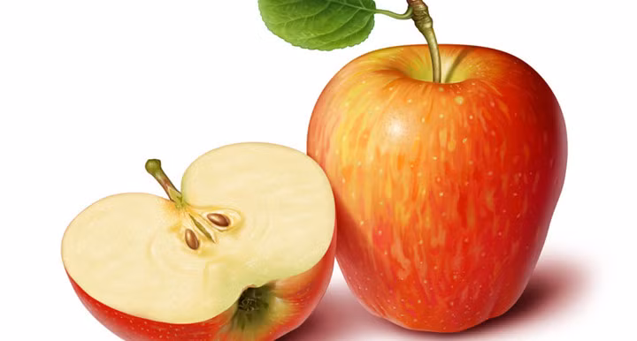 nhung thuc pham giai doc gan tot nhat