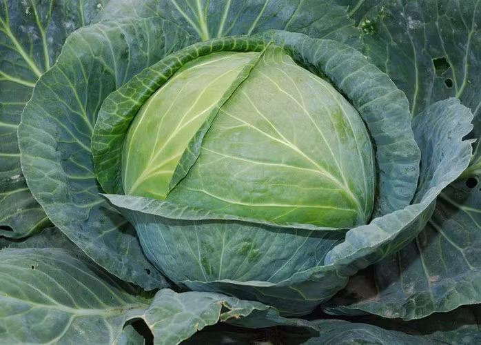 nhung thuc pham giai doc gan tot nhat