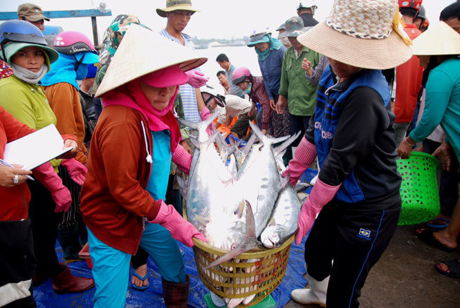 ngu dan quang tri trung me ca be quyt tri gia 5 ti dong