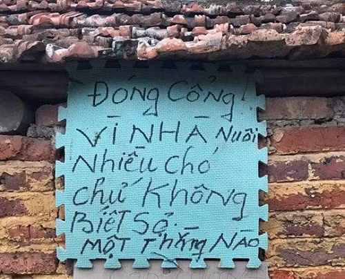 10 anh hai hot nhat facebook trong ngay