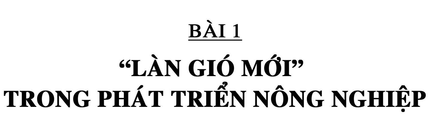 Chương trình OCOP - “đòn bẩy” phát triển kinh tế nông thôn (bài 1): “Làn gió mới” trong phát triển nông nghiệp