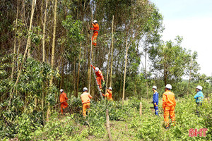 Tăng cường “lá chắn” hành lang an toàn lưới điện ở Hà Tĩnh