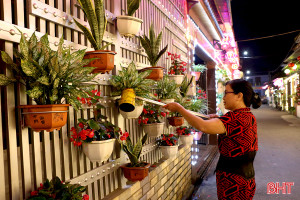 Người dân Thành Sen thi nhau làm đẹp phố phường đón Tết