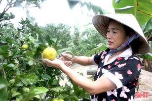 Phát triển mô hình kinh tế, trao cơ hội giảm nghèo bền vững