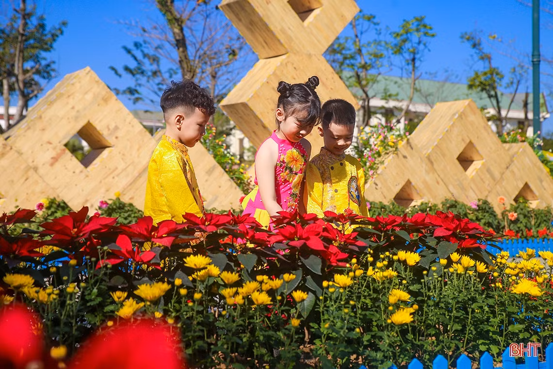 Thành Sen rực rỡ đón chào xuân Quý Mão 2023