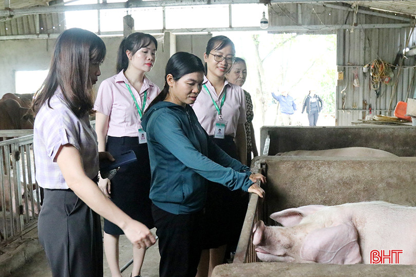 Từ nguồn vay vốn ngân hàng, gia đình chị Trần Thị Thanh ở xã Xuân Thành thoát nghèo từ mô hình chăn nuôi gia súc. 2.jpg