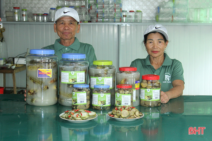 Sản phẩm dưa hồng muối Nga Thông đạt chuẩn OCOP 3 sao 13.jpg
