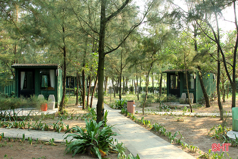 Hoa Nắng Camping Beach với 132 phòng container độc đáo ở giữa rừng cây tạo không gian mát mẻ 5.jpg