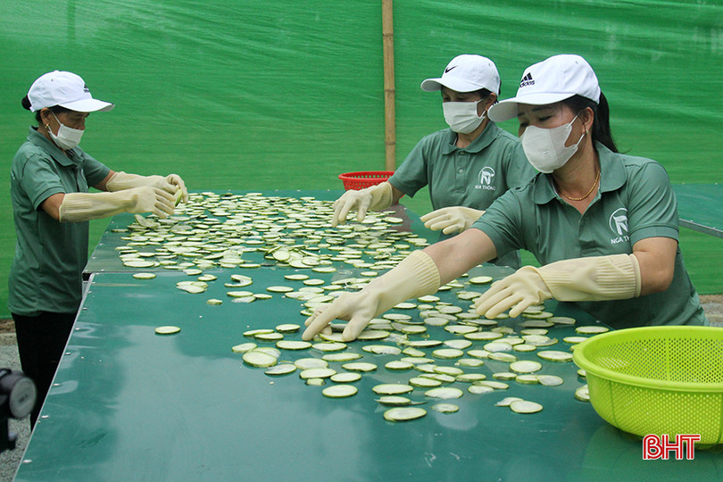 Công nhân rải đều dưa hồng đã thái lát để phơi, tạo độ giòn, thơm cho dưa muối.