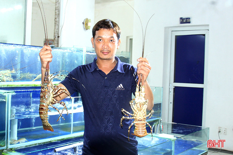 Hải sản tại các nhà hàng luôn tươi ngon thu hút du khách 1.jpg