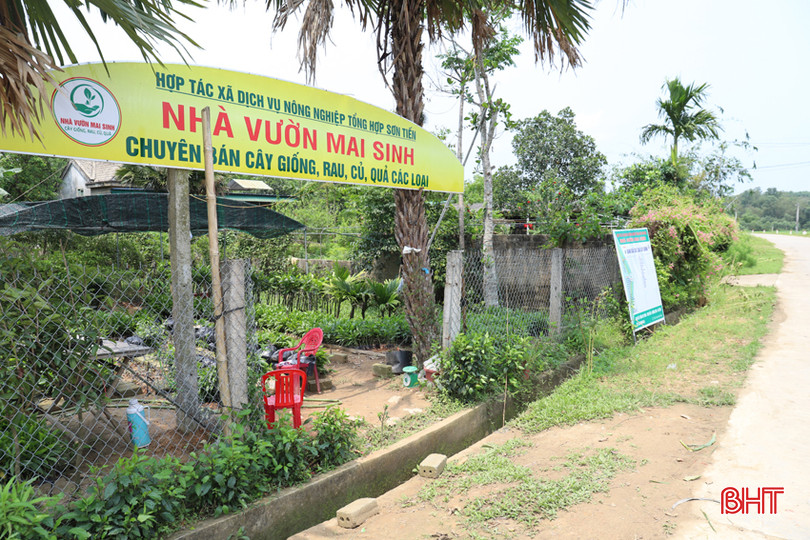 HTX Nông nghiệp Sơn Tiến nằm trên đường trục thôn nên rất thuận lợi cho việc kinh doanh IMG_2218.JPG