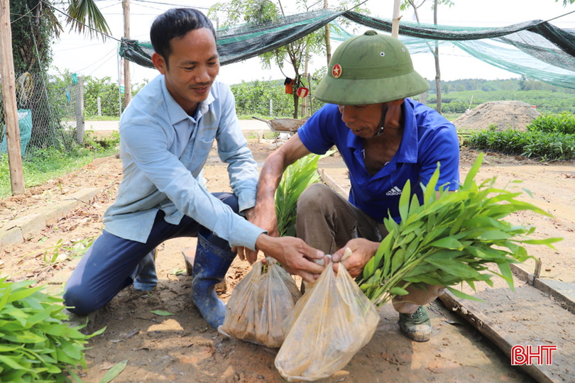 Anh Nguyễn Duy Sinh - Bí thư Chi bộ thôn Ao Tròn, xã Sơn Tiến. IMG_2211.JPG