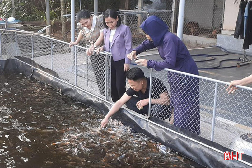 Anh Lê Mạnh Giáp (người mặc áo đen) đang theo dõi quá trình sinh trưởng của đàn cá koi trong ao nuôi gia đình. z5359459821203_07f74e9824764de1a91acf10c6c6a10c.jpg