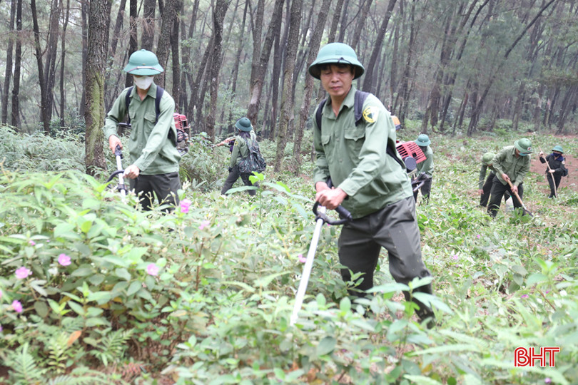 Lực lượng Ban Quản lý rừng phòng hộ Ngàn Phố phát quang đường băng cản lửa tại tiểu khu 43, xã Kim Hoa. IMG_1869.JPG