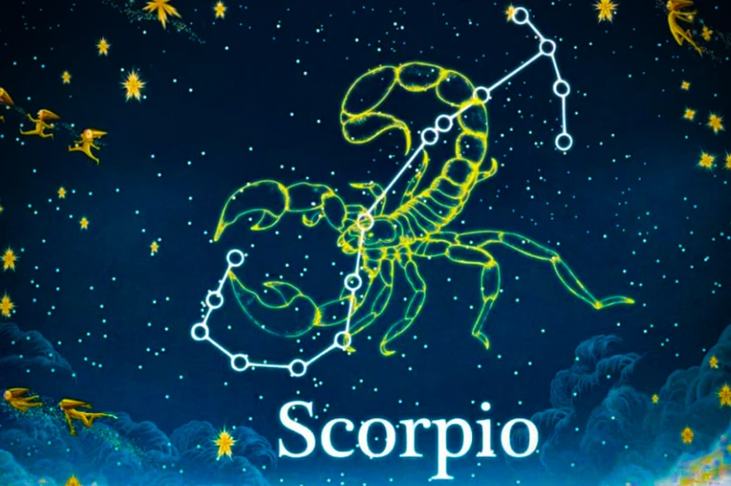 Tử vi 12 cung hoàng đạo hôm nay ngày 13/6/2024.