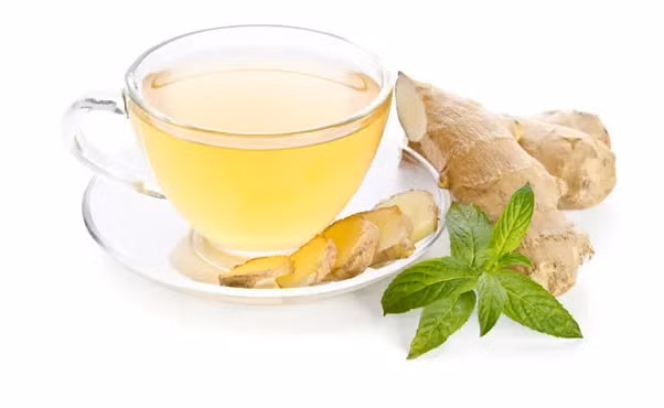 Gừng có thể giúp chống nhiễm trùng