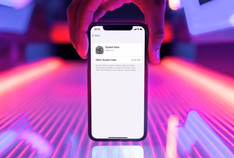 Phần "Dữ liệu hệ thống" (System Data) trên iPhone. Ảnh: Backlight.