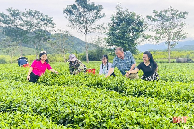 Trong đợt không khí lạnh này nhiệt độ thấp nhất ở Hà Tĩnh phổ biến 17 - 19 độ C. 154d5122525t20329l0.jpg