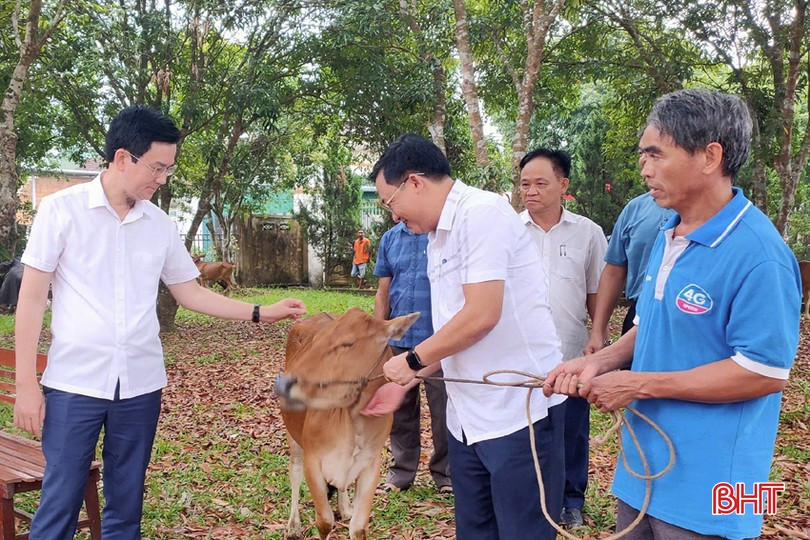 MTTQ huyện Hương Khê huy động nguồn lực trao tặng mô hình sinh kế cho người dân trên địa bàn. 111.jpg